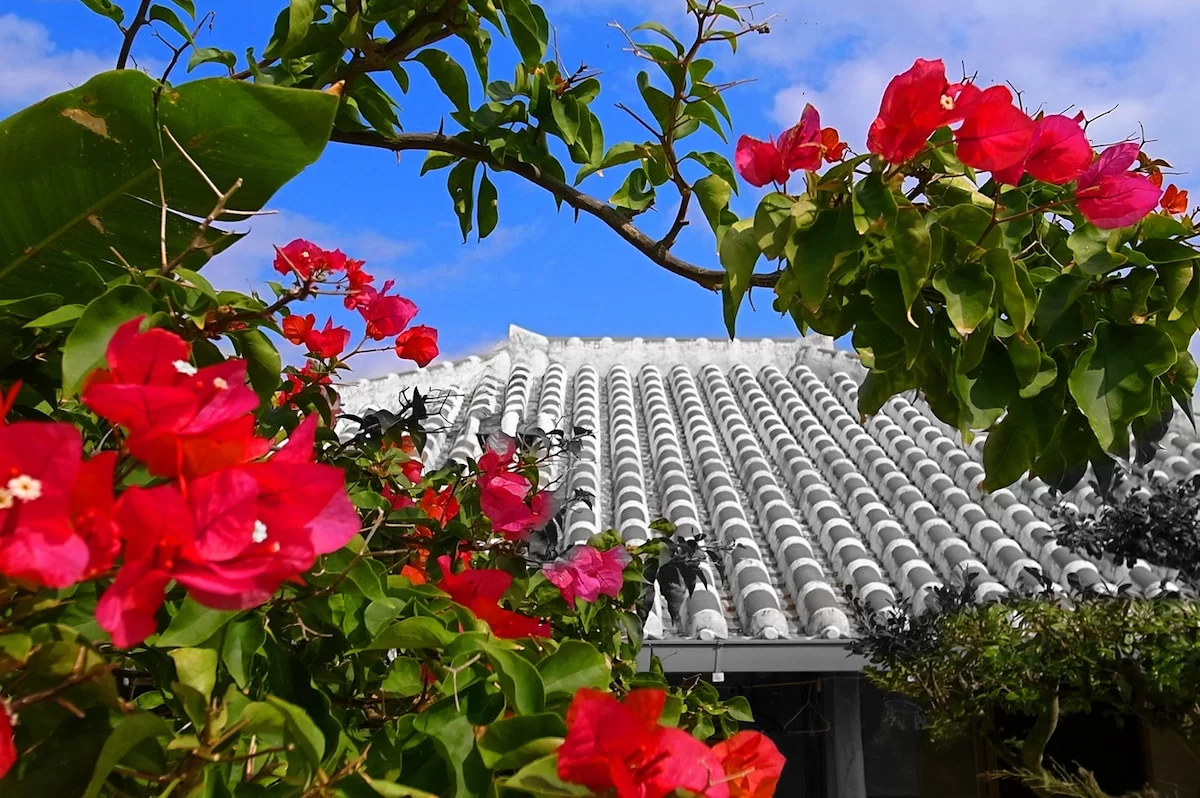 Red-tiled Ryukyu house